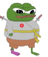 pepe yellow belt ninja 