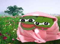 pepes in field of flowers 