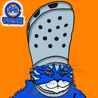 toshi cat with croc shoe on head 