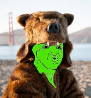 green wojak bear suit 