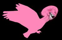 pink wojak bird 