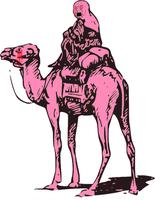 pink wojak camel 