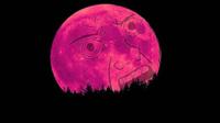 pink wojak moon rising 