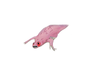 pink wojak newt 