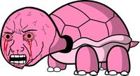 pink wojak turtle 