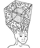 wojak big square brain 