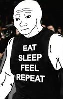 wojak eat sleep feel repeat 