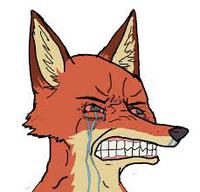 wojak fox seething crying 