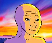 wojak happy sunset 