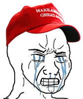 wojak maga crying 