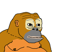 wojak orangutan 