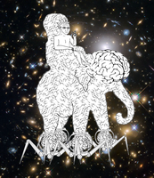 wojak riding brain elephant space 