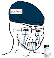 wojak soy boy soylent beret 