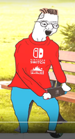 zoomer playing switch 