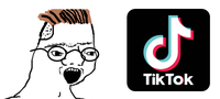 zoomer soy boy tik tok 